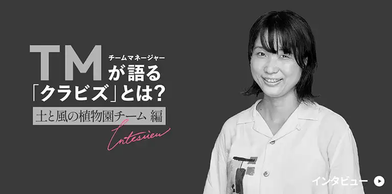 HAMMERの画像
