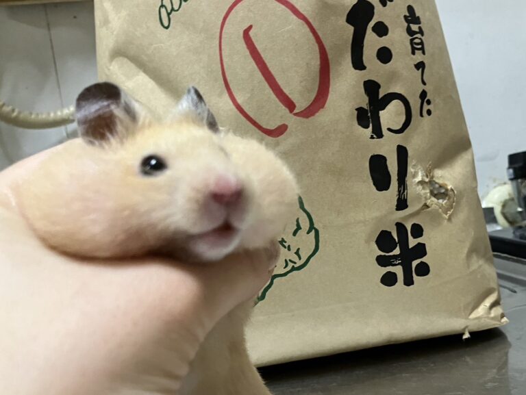 「クラビズのいいところはどこ?」のイメージ