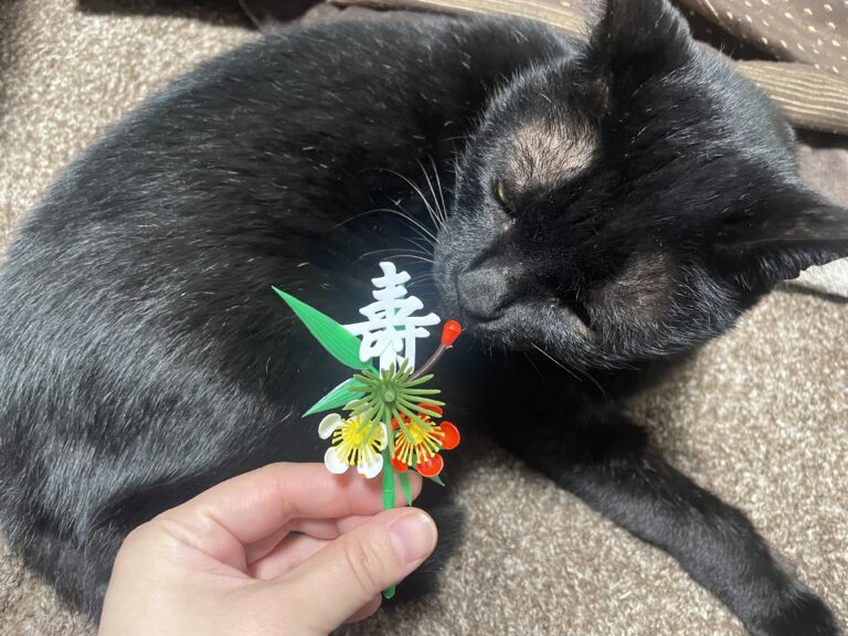 「クラビズのいいところはどこ?」のイメージ