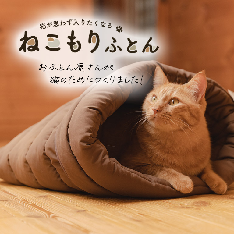 合同会社ベック様のクラウドファンディング（Makuake）支援