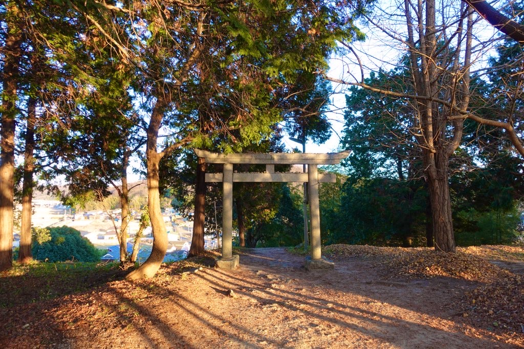 私の休日はどんな感じ？